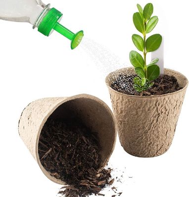 Seedling tray