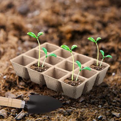 3pcs seedling tray