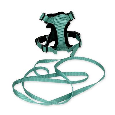 Pet traction rope